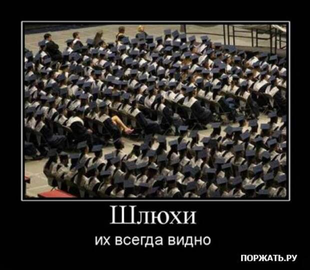 Демотиваторы по русски и по свежее