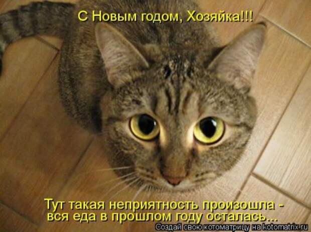 Кошкоматрицы.