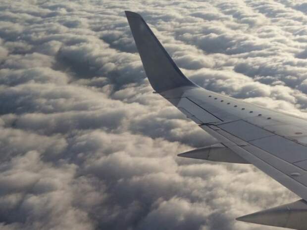 В Москве благополучно приземлился самолет из Хабаровска с загоревшимся креслом