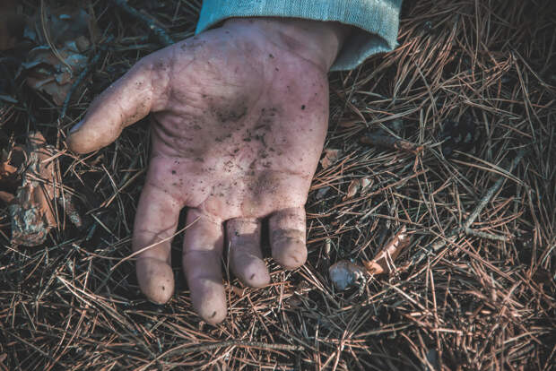 Гулявший с собакой в лесу в Мемфисе нашёл останки трёх детей