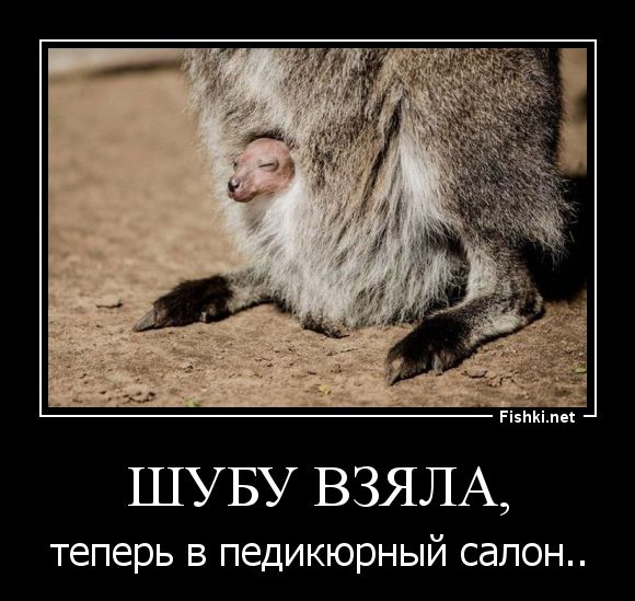 Демотиваторы демотиваторы, прикол, смех, юмор