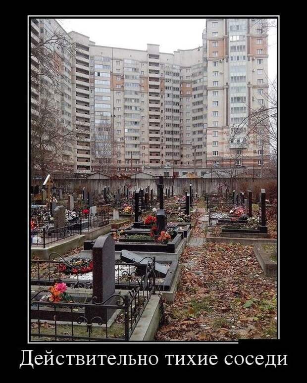 Демотиваторы (30 фото) Демотиваторы (30 фото)