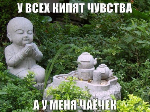 Прикольные фотомемы