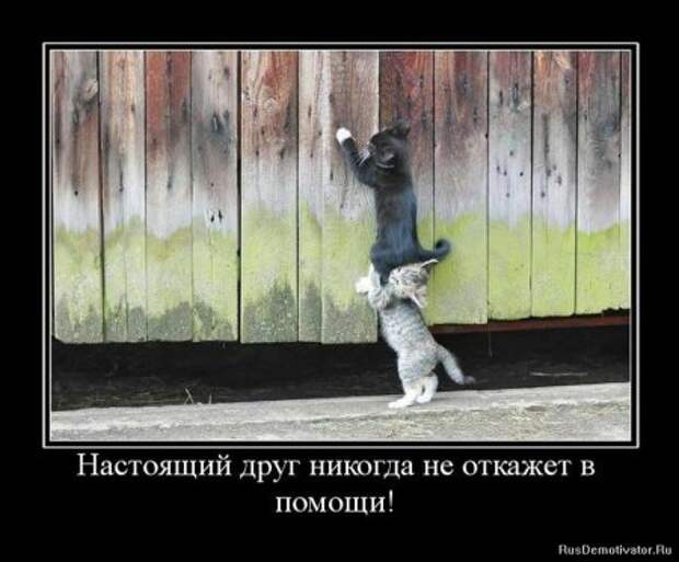Демотиваторы о дружбе.
