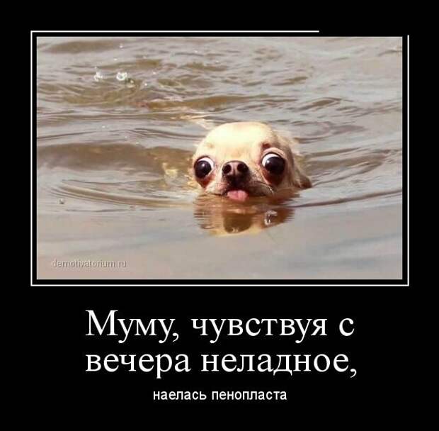 Демотиваторы демотиваторы, прикол, смех, юмор