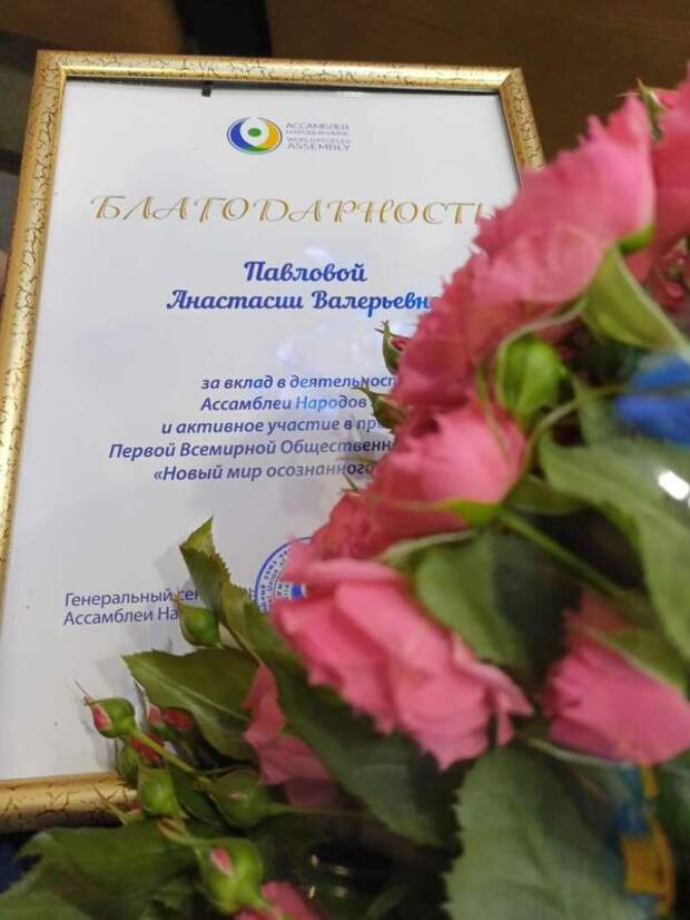 Народная Дипломатия