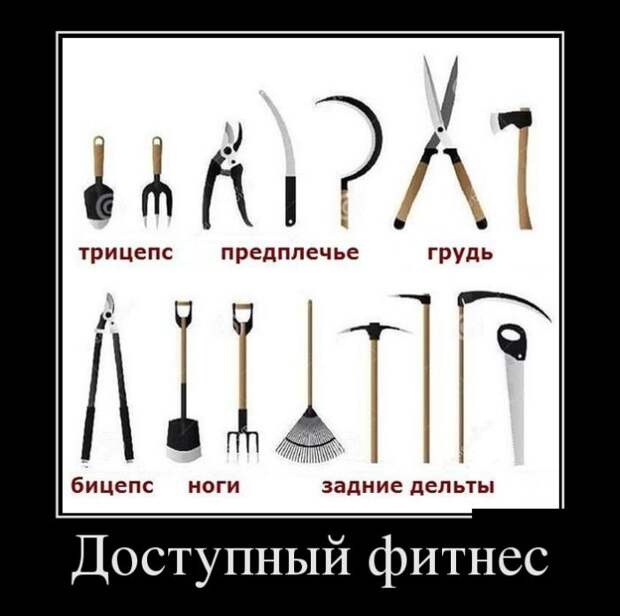 Демотиваторы (30 фото)