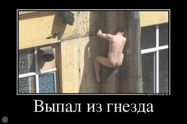 Иногда проще сказать правду... 30