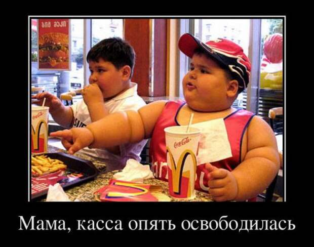 Демотиваторы " 101 %" 26/02/12