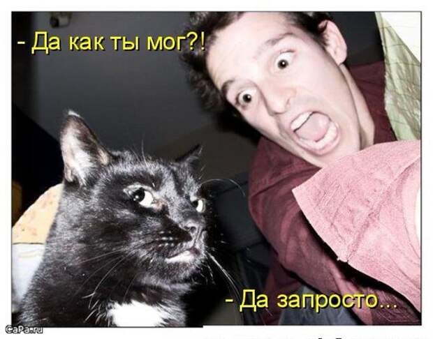 Утренний позитив!  16.10.2009
