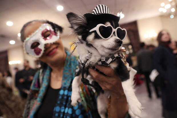 New York Pet Fashion Show