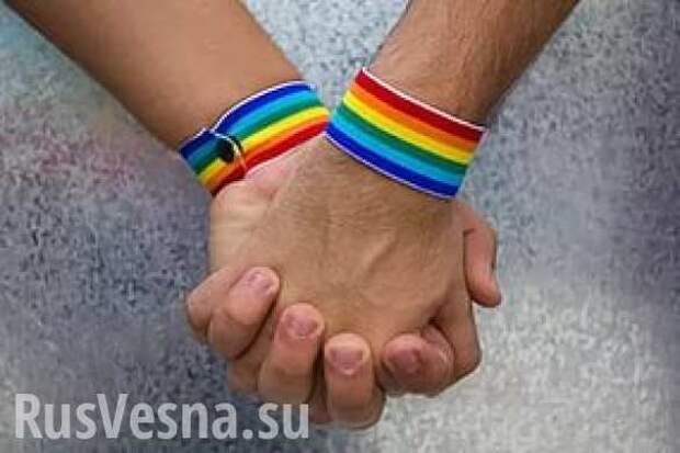 ЕС выдвинул Украине ультиматум: трудоустроить геев в детские сады | Русская весна
