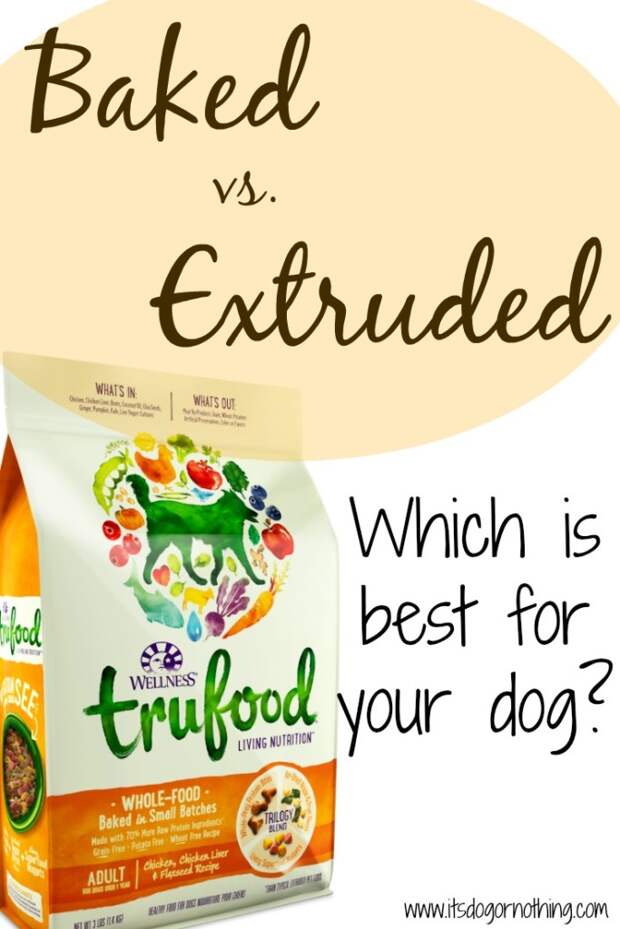 Baked vs. Extruded Dog Food - Do you know which is best for your dog?