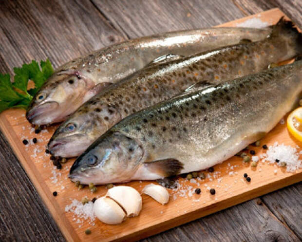 23 совета обо всем, что связано с приготовлением рыбы