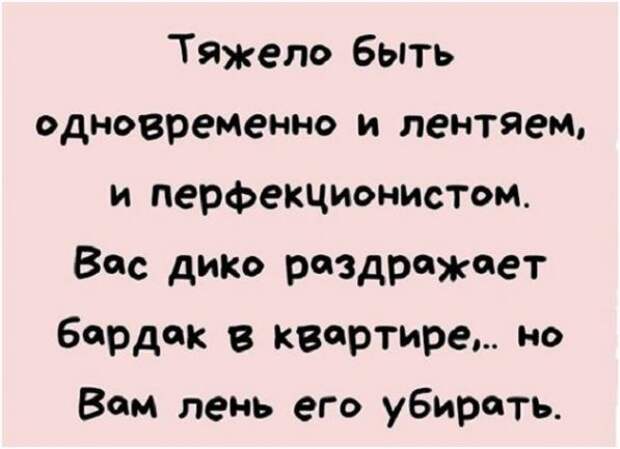 Свежий выпуск приколов и шуток для отличного настроения