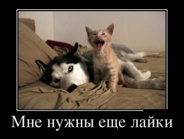 Демотиваторы Демотиваторы демотиваторы, юмор