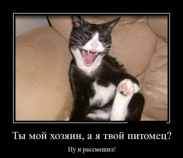 Демотиваторы демотиваторы, прикол, смех, юмор