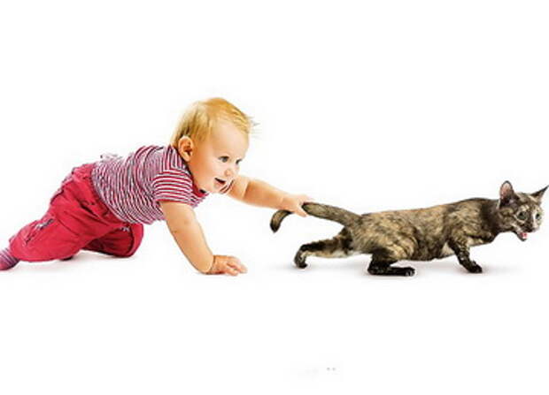 http://www.homeopaty.ru/uploads/images/%d0%93%d0%98%d0%9f%d0%95%d0%a0%d0%90~1.JPG