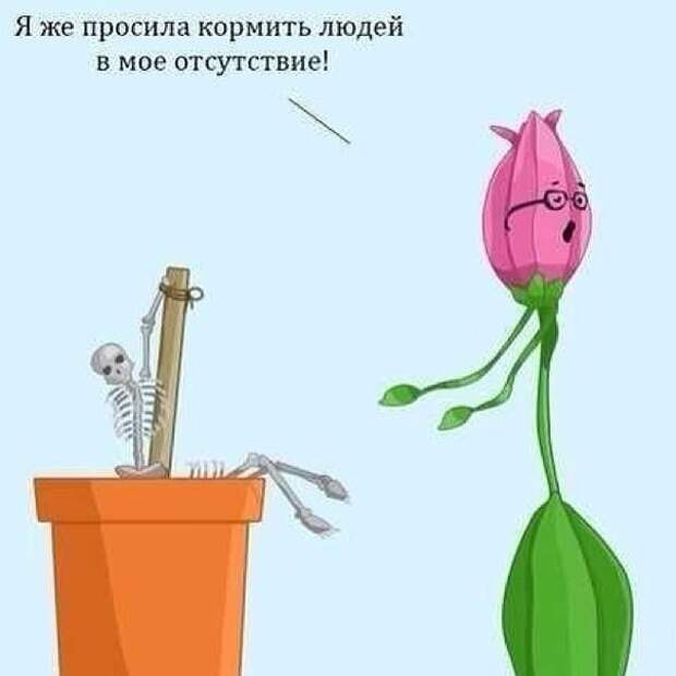 что происходит в параллельной вселенной