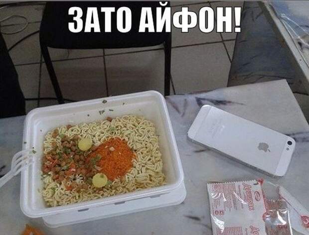 Смешные картинки с подписями катинки, прикол, юмор