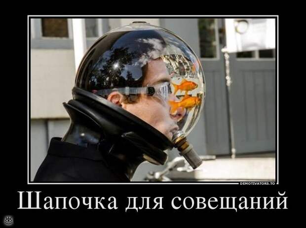 В поисках смысла 0