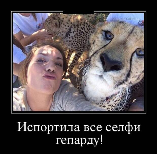 Демотиваторы (30 фото) Демотиваторы (30 фото)