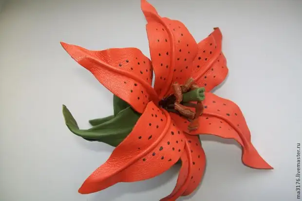 ��������� ����� �� ����