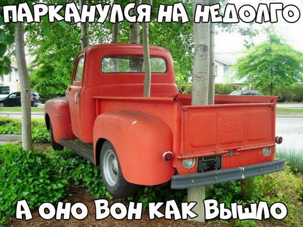 Автовсячина-30 фото-