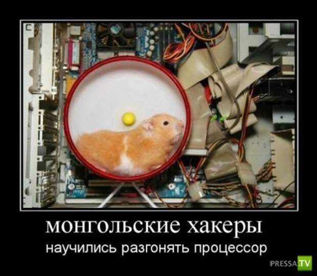Демотиваторы (29 фото) Демотиваторы (29 фото)