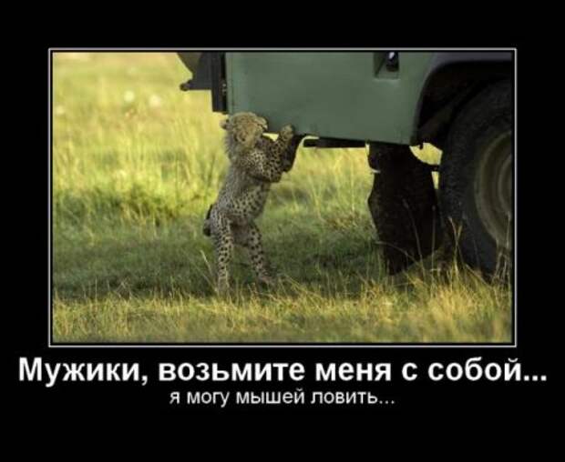 Смешные демотиваторы у нас каждый день!