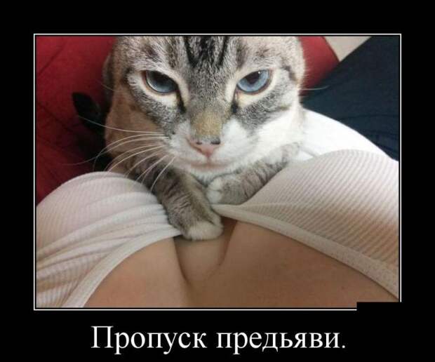 Пропуск предъяви демотиватор, юмор