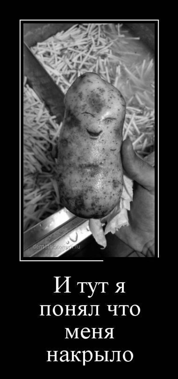 Они следят за тобой