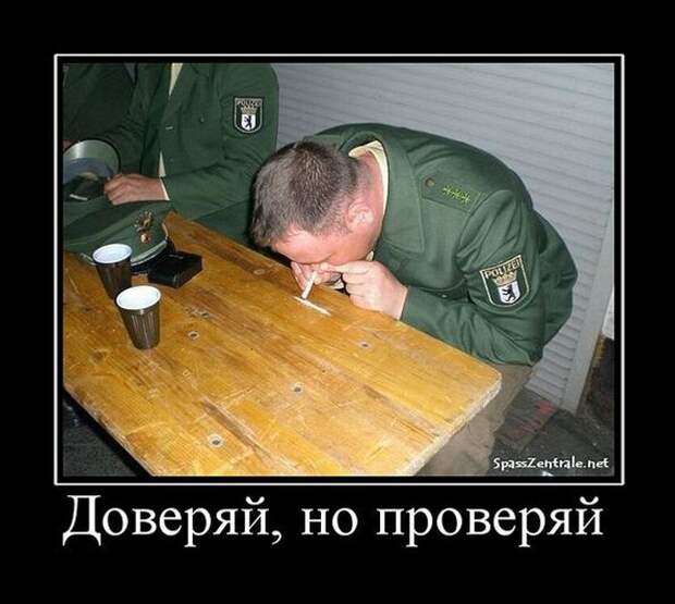 Демотиваторы (30 фото) Демотиваторы (30 фото)