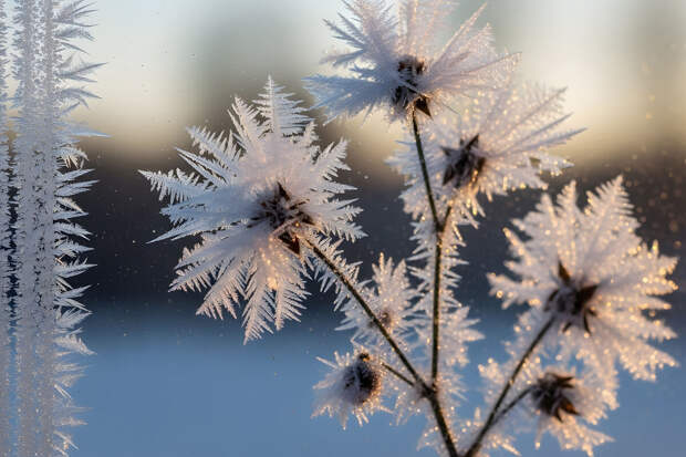В школах Тамбова 6 февраля из-за сильных морозов отменили занятия