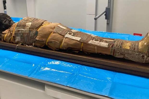 Во Вроцлаве у детской мумии обнаружили таинственный предмет на груди