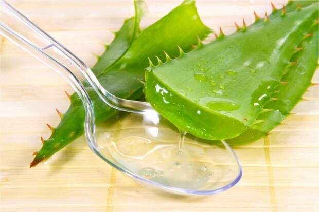 https://mircocktails.ru/wp-content/uploads/2019/02/sok-aloe-1.jpeg
