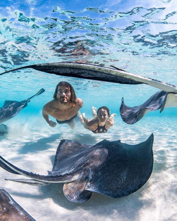 Андре Масгроув (André Musgrove) и его невероятные подводные снимки