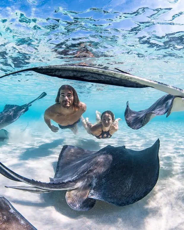 Андре Масгроув (André Musgrove) и его невероятные подводные снимки