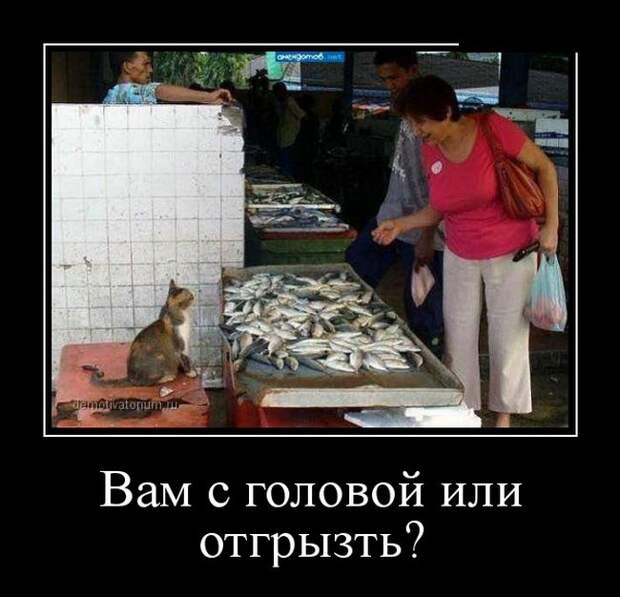 Демотиваторы демотиваторы, юмор