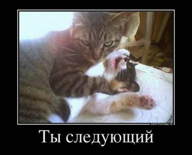Улётные демотиваторы - пик веселья