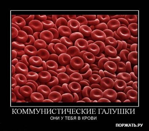 Прикольные демотиваторы (часть 2)