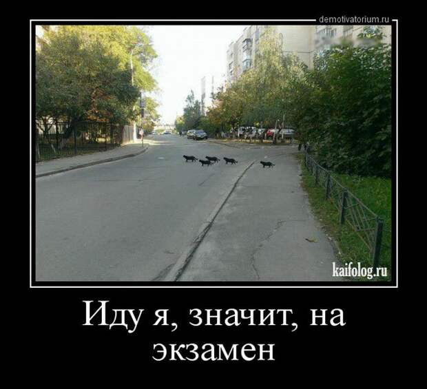Демки - 266 (45 штук)