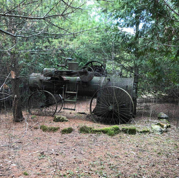 Гуляя по лесу, можно увидеть много интересного, загадочного и странного (26 фото)