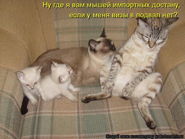 3 (604x453, 256Kb)