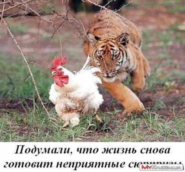 Всё это пятница 13 - е, но она пройдет....