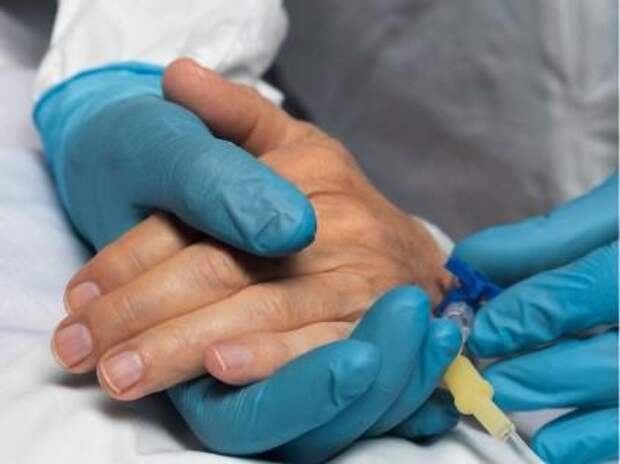 Известна причина отравления чачей в Сочи — алкоголь распространяли по России