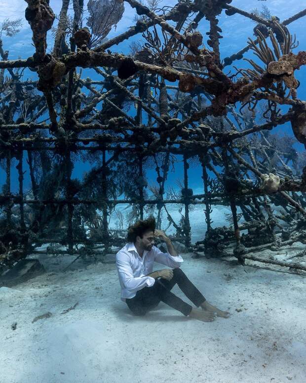 Андре Масгроув (André Musgrove) и его невероятные подводные снимки