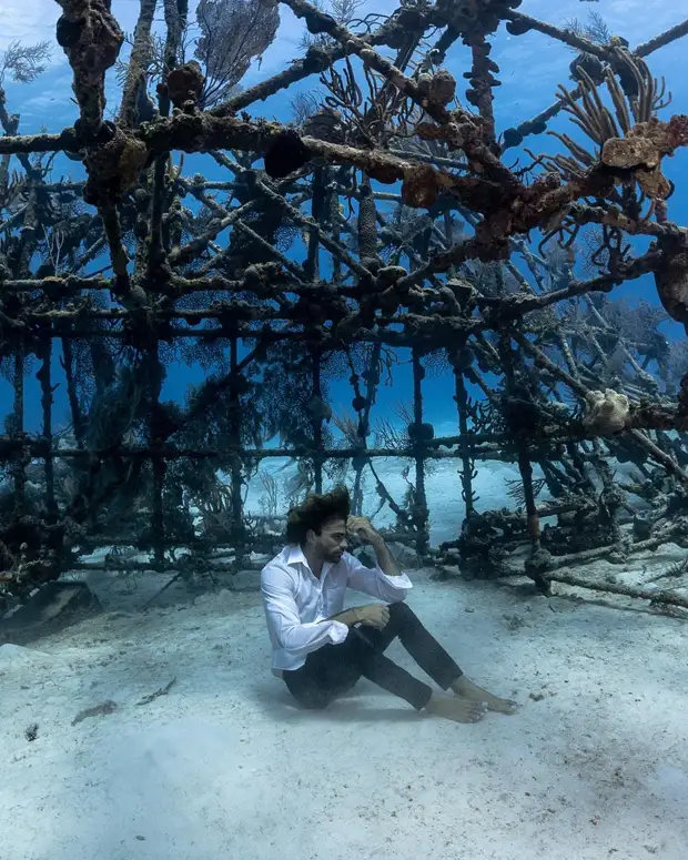 Андре Масгроув (André Musgrove) и его невероятные подводные снимки