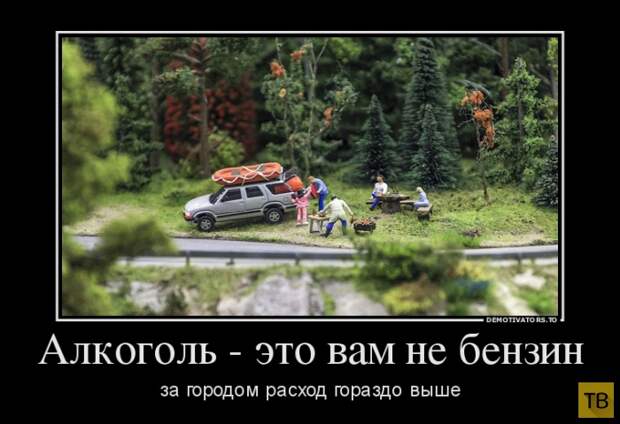 Демотиваторы (30 фото) Демотиваторы (30 фото)