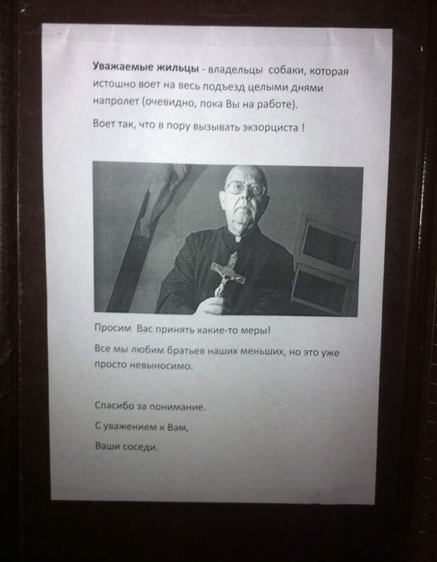14 снимков, описывающих все тонкости добрососедских отношений соседи, юмор